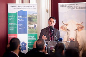 Türkiye Canlı Sığır İhracatında Fransa`nın Üçüncü Büyük Pazarı