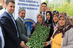 Çiftçilere Fide Desteği