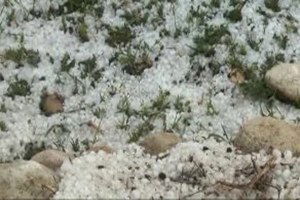 Dolu, Tarım Alanlarına Zarar Verdi