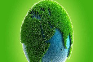 Dünyada Tespit Edilen Bitki Sayısı 390 Bin 900