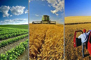 Erzurum`da Tarım ve Hayvancılığa Can Suyu