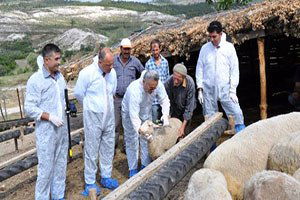 Hastalıklar Elektronik Küpeyle Takip Edilecek