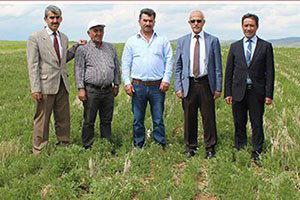 Toprak İşlemesiz Tarım Tuttu