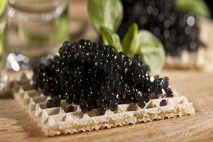 Konya`dan 15 Ülkeye Deniz Ürünleri İhraç Ediyor