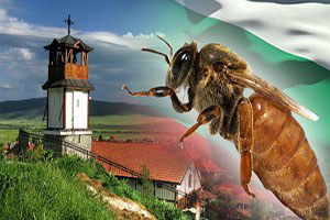 Kraliçe Arılar Bulgaristan Yolcusu