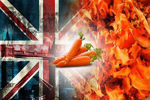 İngiltere`den Kurutulmuş Havuç Talebi