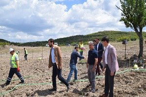 Lavanta ile Göçü Tersine Çevirecekler