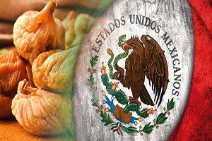 Meksika Kuru İnciri Türkiye`den İthal Edecek