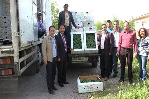 Muş`ta 95 Bin Adet Biber Fidesi Dağıtıldı