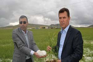 Niğde`de 20 Köyü Sel ve Dolu Vurdu