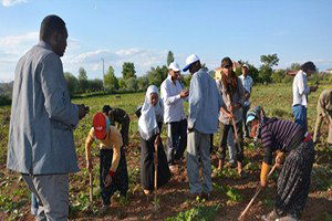 Orta Darfur Eyaleti Çankırı`da Çiftçiliği Öğreniyor