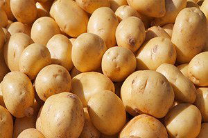 Patates Fiyatları Dibe Vurdu, Üretici İsyanda