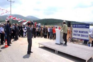 Siyah Elmas Muğla Ekonomisini Kalkındıracak