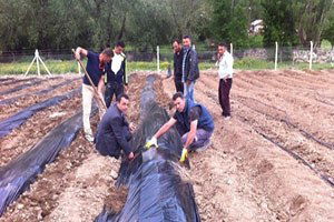 Tokat`ta Alternatif Ürün Projesi