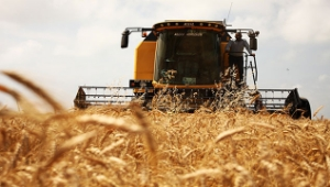 Çiftçilere Hasatta Kayıp Uyarısı