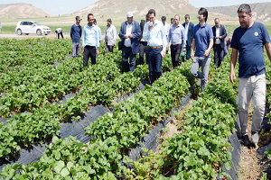 Aksaray Topraklarında Bir İlk