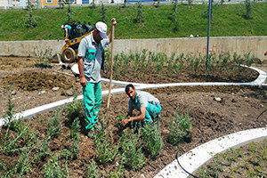 Aromatik Bahçede Sona Gelindi