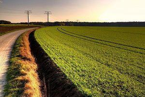 Atıl Arazilere Yeni Düzenleme Geliyor