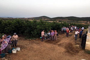 Avrupalı Salihli Kirazını Sevdi, Hedef Çin Pazarı
