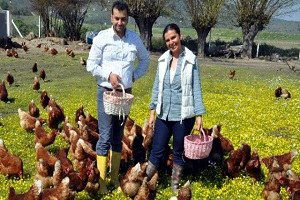 Aydın`da 3,4 Milyon Kümes Hayvanı Var