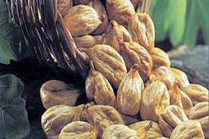 Bosnalı; `Aydın İncirine Sahip Çıkmak Durumundayız`