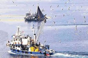 28 İldeki Bin 350 Balıkçı Gemisine Bagis Cihazı Takılacak