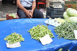 Bamyanın Kilosu 20 TL