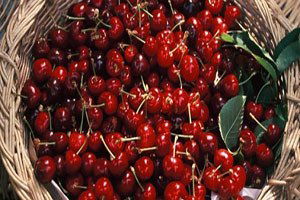 Çinliler Türk Kirazını Bu Yaz Tadacak