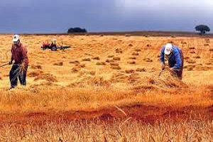 Çiftçi Kayıt Sistemi İçin Son Hafta Uyarısı
