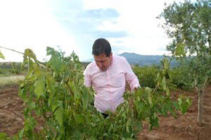 Dolu Yağışının Vurduğu Çiftçiler Destek Bekliyor