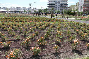 Eski Kültürlerini Yaşatma Kararı Aldılar