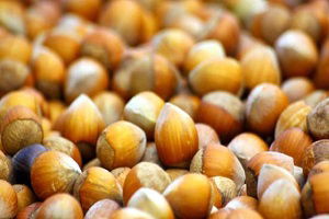 Fındığın Kozları Üreticide