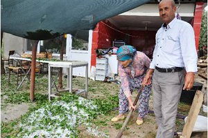 İzmir`de Tarım Ürünleri Yüzde Altmış Zarara Uğradı