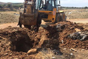 İzmir`de Toplu Hayvan Katliamı İddiası
