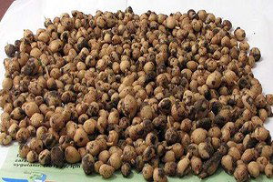 Ormandan Topladı, 40 Bin Lira Ceza Ödeyecek