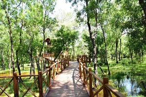 Kuş Cenneti Dünya Çevre Günü`ne Ev Sahipliği Yapacak