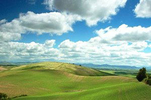 Miras İşleri Karışacak, 184 Büyük Ovaya Koruma Geliyor!