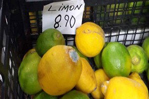 Narenciye Ülkesinde Limonun Kilosu 9 Tl!