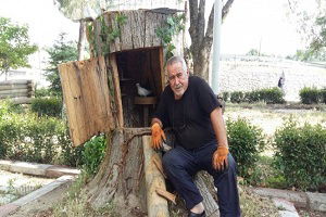 30 Santimlik Ağaç Parçasıyla İnsanlık Dersi