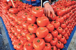 Rusya`ya Tarım İhracatı Azaldı