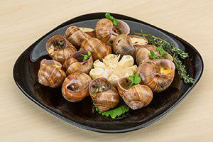 Salyangozun Eti de Kabuğu da Döviz Getiriyor