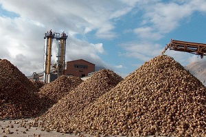 Nişasta Bazlı Şekerde Talepler Karşılık Buldu