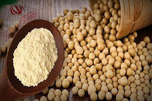 İran`dan Soya Unu Talebi