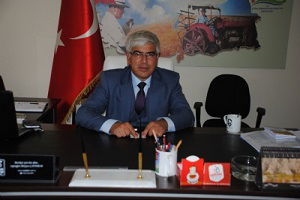 Süne Sayımları Başladı