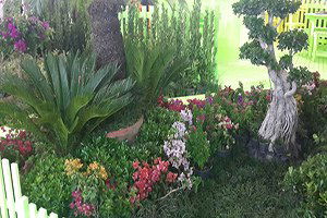 Süs Bitkisi İhracatına Devalüasyon Darbesi