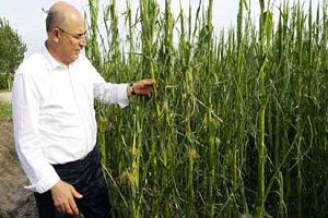 Tarımsal Envanter Neden Yapılmıyor?