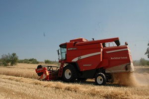 Tarsus`ta Buğday Rekoltesi Çiftçiyi Sevindiriyor