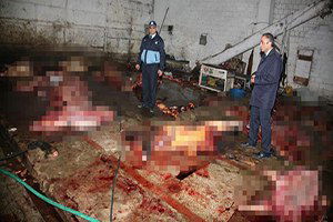 TJK Kurucusundan Tüyler Ürperten İddia