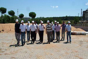 TMO`nun Buğday Alımları