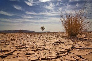 Türkiye`de Çölleşme Hızla Artıyor